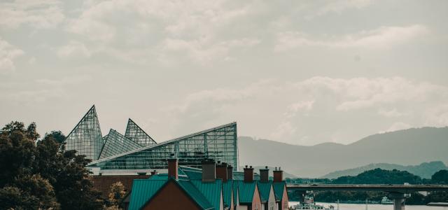 Tennessee Aquarium - Chattanooga, TN
